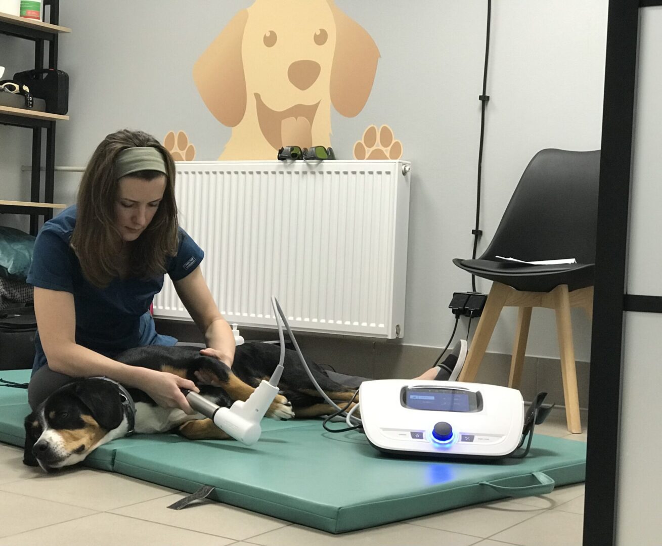 fala uderzeniowa rehabilitacja zwierząt warszawa